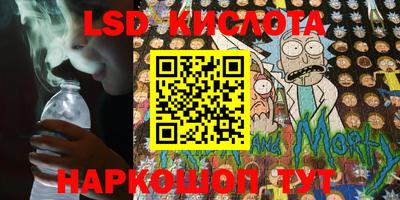 гидропоника Камышлов