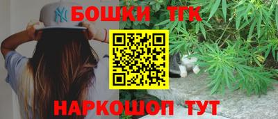 гидропоника Камышлов