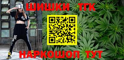 гидропоника Камышлов