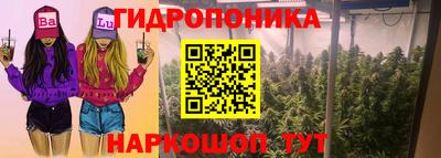 гидропоника Камышлов