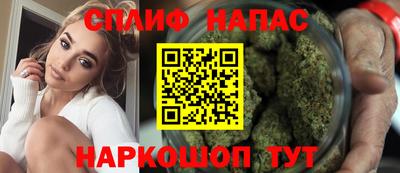 гидропоника Камышлов