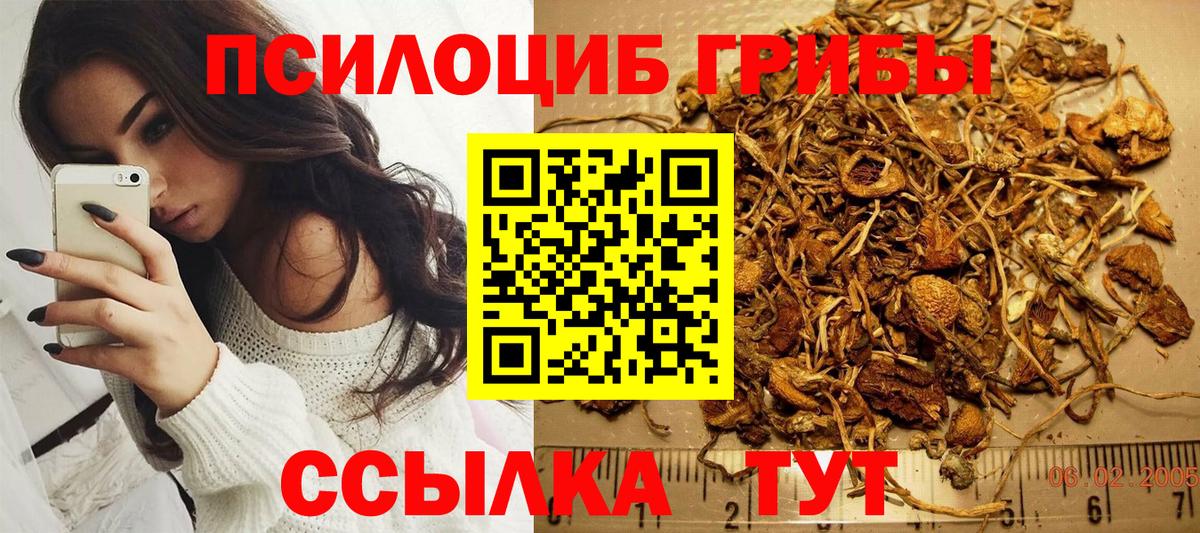 купить наркотик  Псилоцибиновые грибы прущие грибы  Красноуфимск  Вход с VPN  Псилоцибиновые грибы Cubensis 